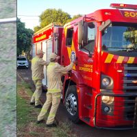 Imagem referente a Cobra Cascavel é encontrada dentro de residência no Cascavel Velho