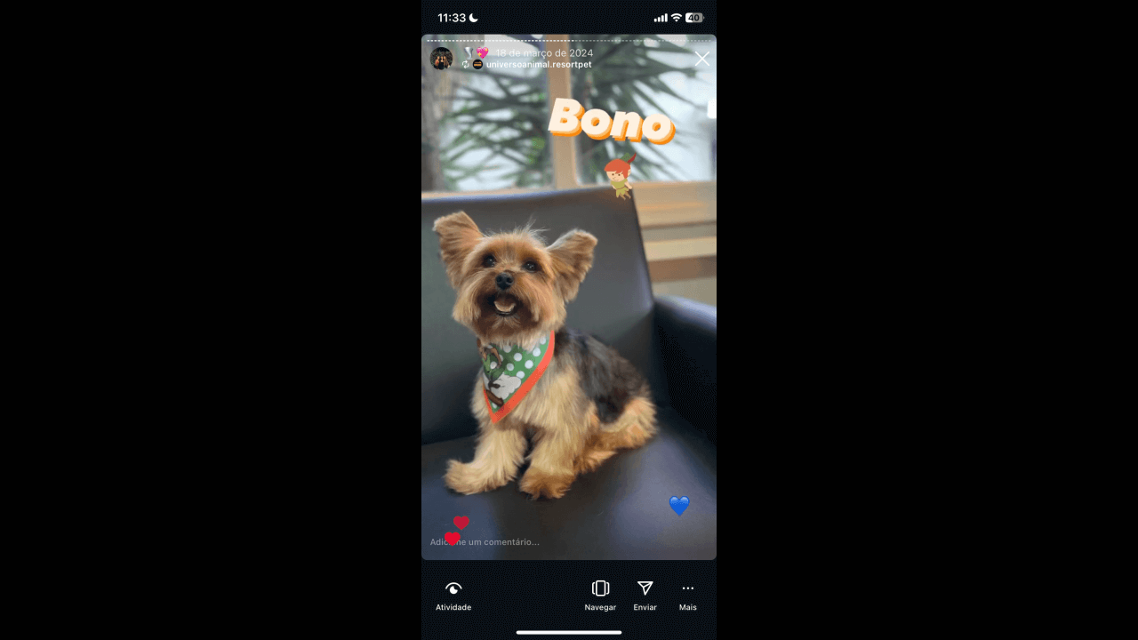 Cachorro Bono desapareceu no bairro Canadá