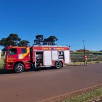 Imagem referente a Corpo de Bombeiros combate incêndio às margens da BR-277 em Cascavel