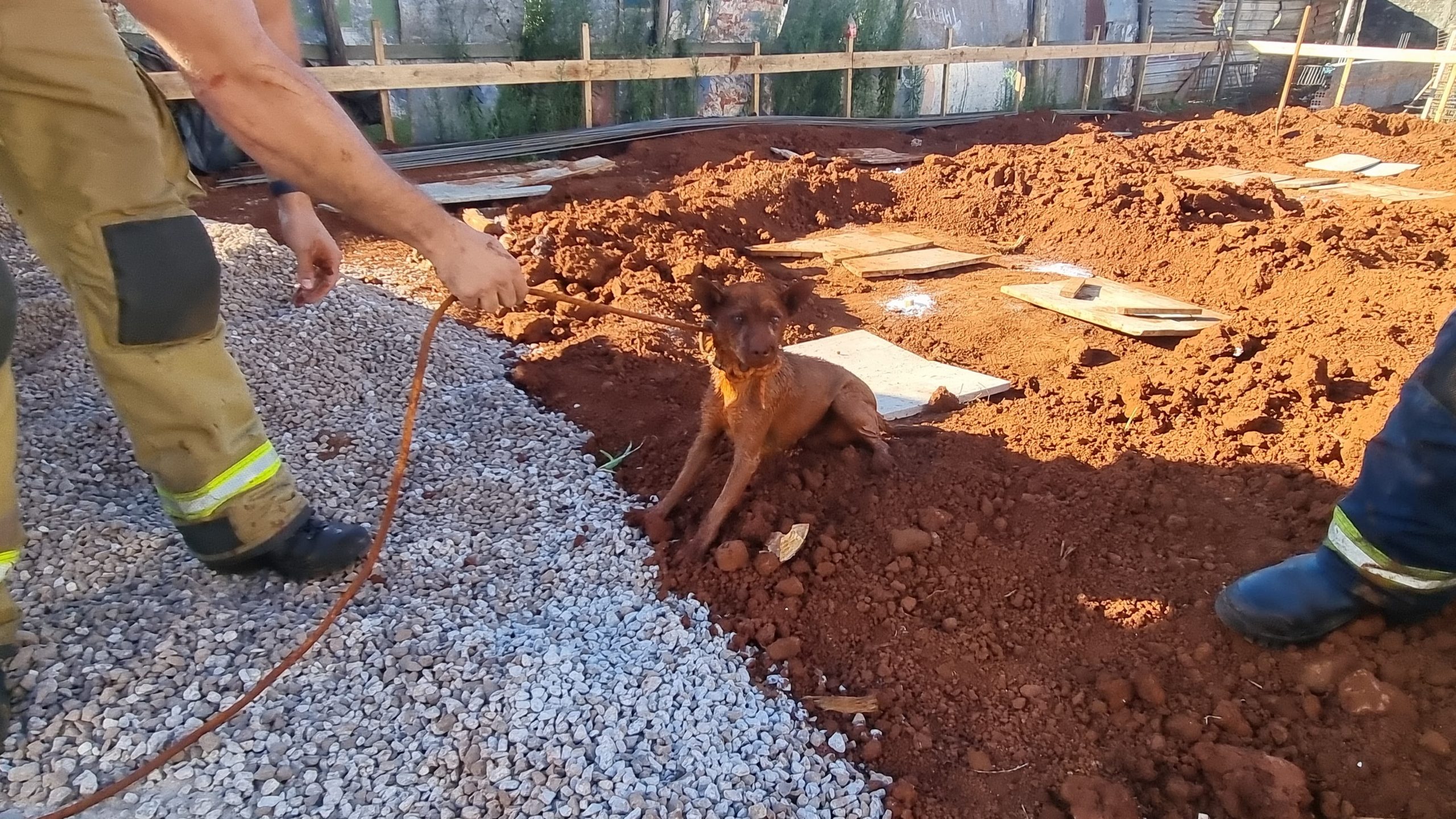 Cachorro é resgatado após cair em buraco de obra na Rua Curitiba