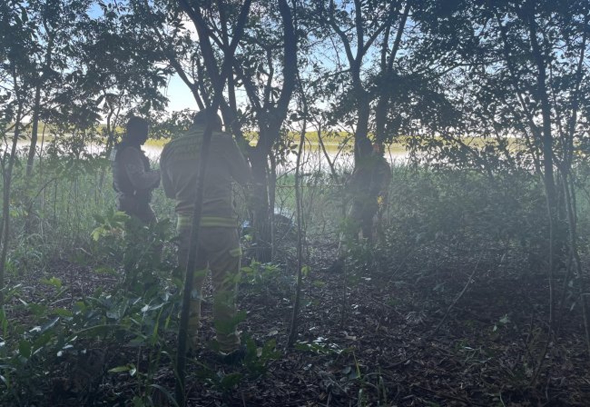 Homem que desapareceu ontem é encontrado morto em área de mata na Região Oeste do Estado