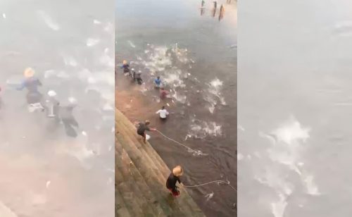 Imagem referente a Fartura no Balneário: chuva faz peixes ‘pularem’ direto para os pescadores