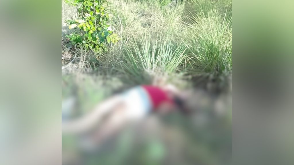 Corpo de mulher é encontrado em matagal