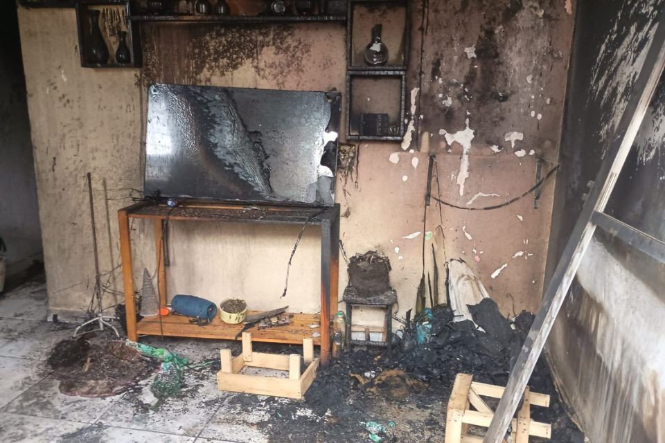 Discussão sobre gato termina em incêndio criminoso e morte Discussão sobre gato termina em incêndio criminoso e morte