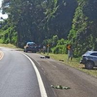 Imagem referente a Colisão frontal entre carro e bitrem deixa quatro vítimas na BR-277