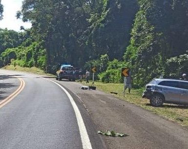 Imagem referente a Colisão frontal entre carro e bitrem deixa quatro vítimas na BR-277