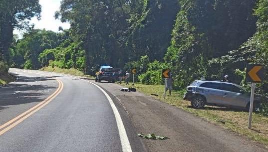 Imagem referente a Colisão frontal entre carro e bitrem deixa quatro vítimas na BR-277