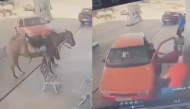 Imagem referente a Motorista atropela homem e cavalo em posto de combustíveis