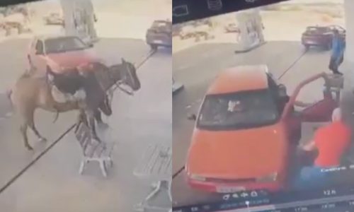 Imagem referente a Motorista atropela homem e cavalo em posto de combustíveis