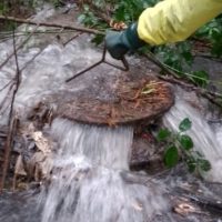 Imagem referente a Sanepar orienta população a como escoar corretamente água da chuva dos imóveis