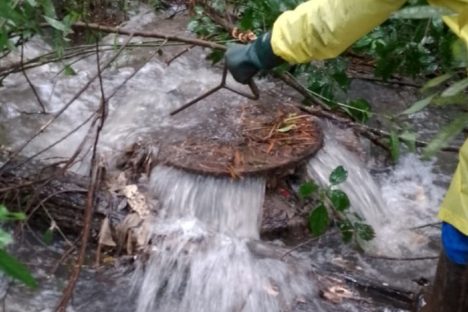 Imagem referente a Sanepar orienta população a como escoar corretamente água da chuva dos imóveis