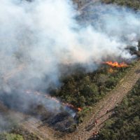 Imagem referente a Com incêndios, bombeiros registraram aumento de 10% no total de ocorrências em 2024