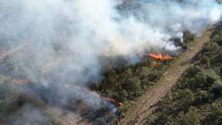 Com incêndios, bombeiros registraram aumento de 10% no total de ocorrências em 2024