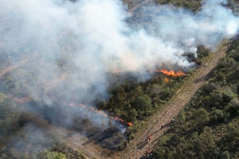 Imagem referente a Com incêndios, bombeiros registraram aumento de 10% no total de ocorrências em 2024