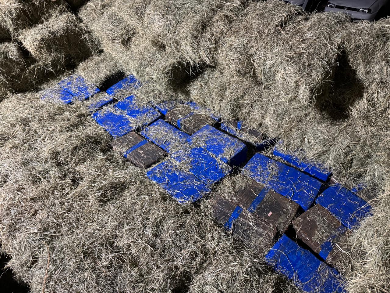 Tabletes de maconha são encontrados em meio a carga de feno