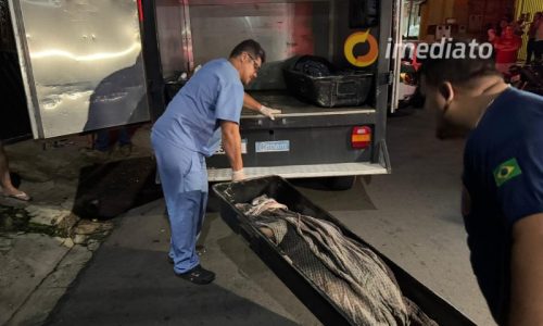 Imagem referente a Mulher é morta a tiros no Bairro Alvorada; vítima estava com filho no colo