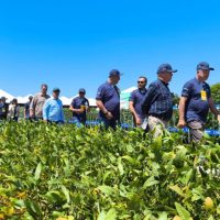 Imagem referente a Agroshow Copagril abre a temporada de eventos agropecuários no Paraná