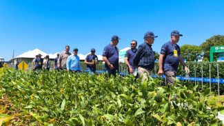 Agroshow Copagril abre a temporada de eventos agropecuários no Paraná