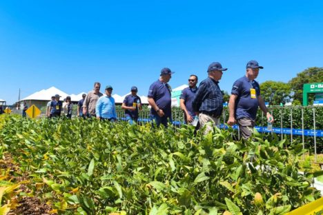 Imagem referente a Agroshow Copagril abre a temporada de eventos agropecuários no Paraná