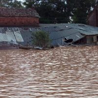 Imagem referente a Chuvas no RS: governo liberou R$ 2,5 bilhões para agricultura familiar