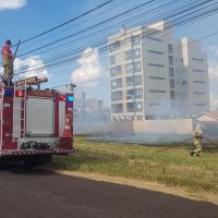 Imagem referente a Incêndio em vegetação baixa mobiliza Corpo de Bombeiros em Cascavel