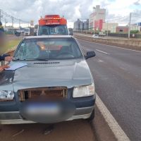 Imagem referente a Homem é atropelado por Fiat Uno na BR- 277 próximo ao Autódromo de Cascavel