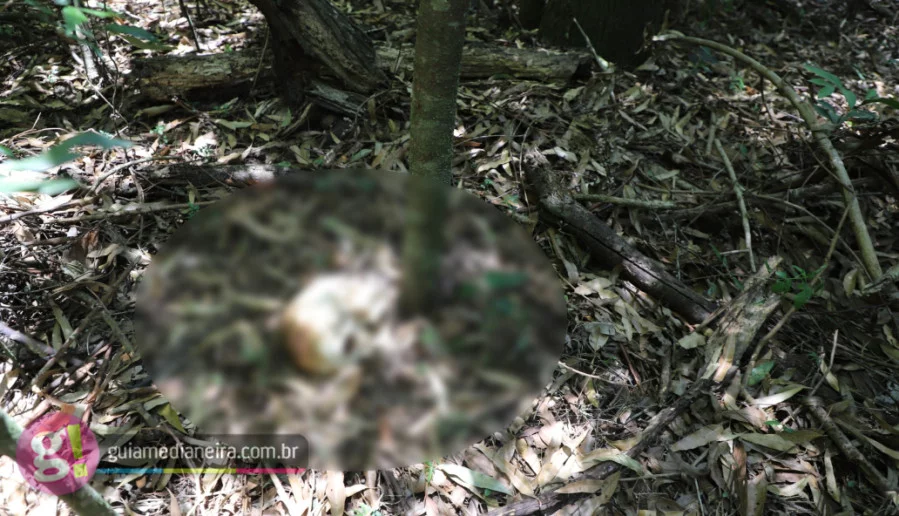 Ossada humana é encontrada em Itaipulândia