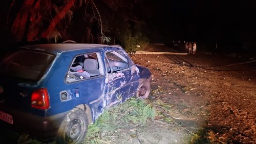 Imagem referente a Gol derruba dois postes elétricos e deixa Parque São Paulo parcialmente sem energia