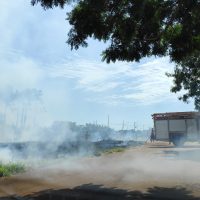 Imagem referente a Incêndio atinge grande área de vegetação no bairro Floresta