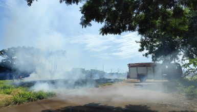 Imagem referente a Incêndio atinge grande área de vegetação no bairro Floresta