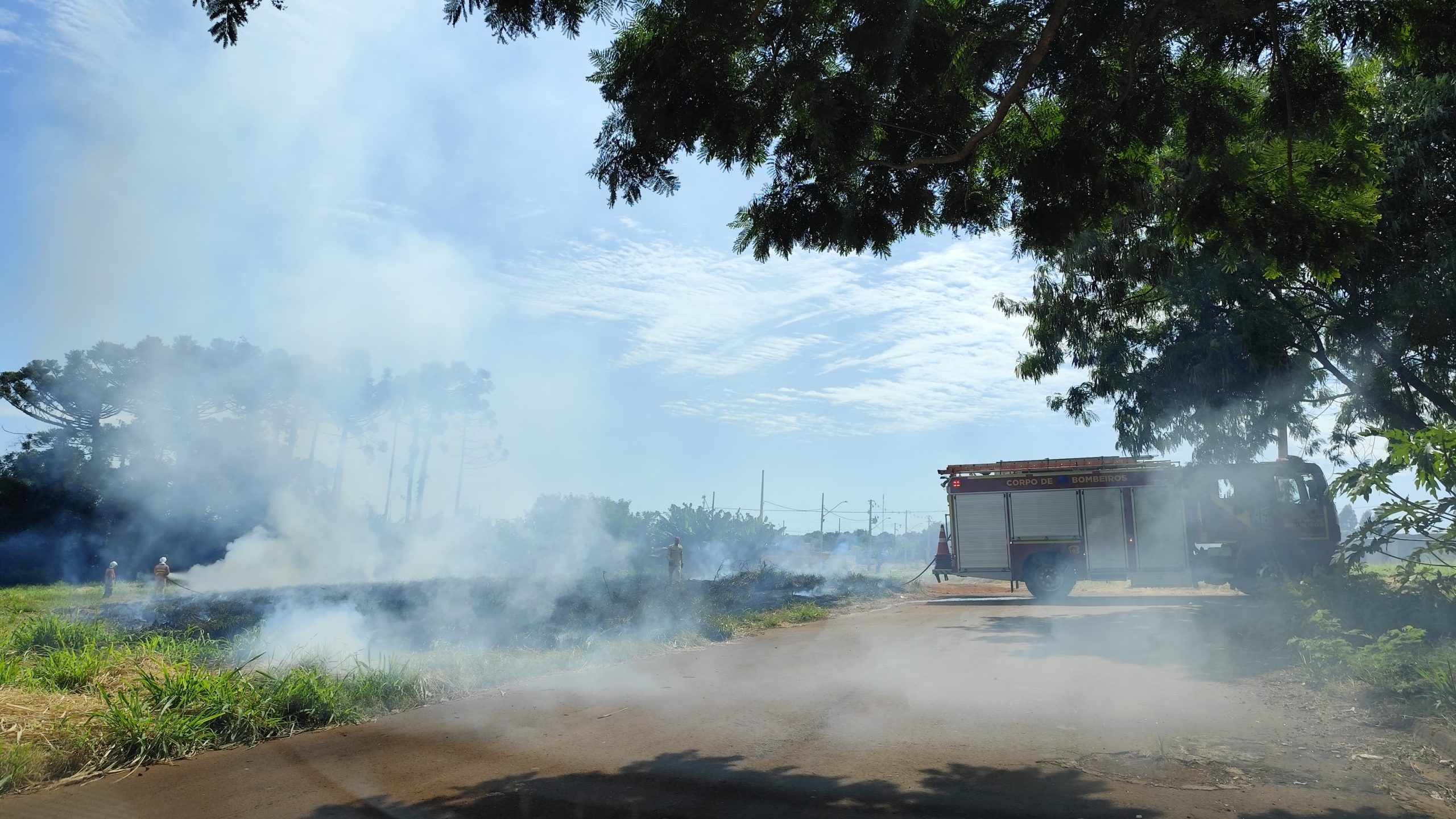 Incêndio atinge grande área de vegetação no bairro Floresta