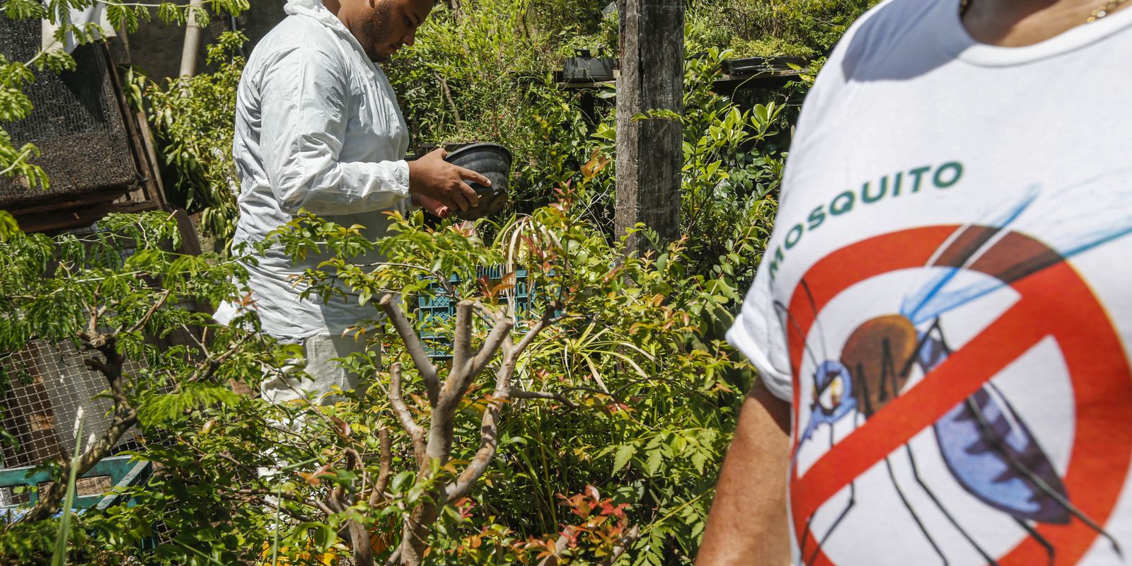 Saúde anuncia novas tecnologias de combate à dengue em MG Saúde anuncia novas tecnologias de combate à dengue em MG