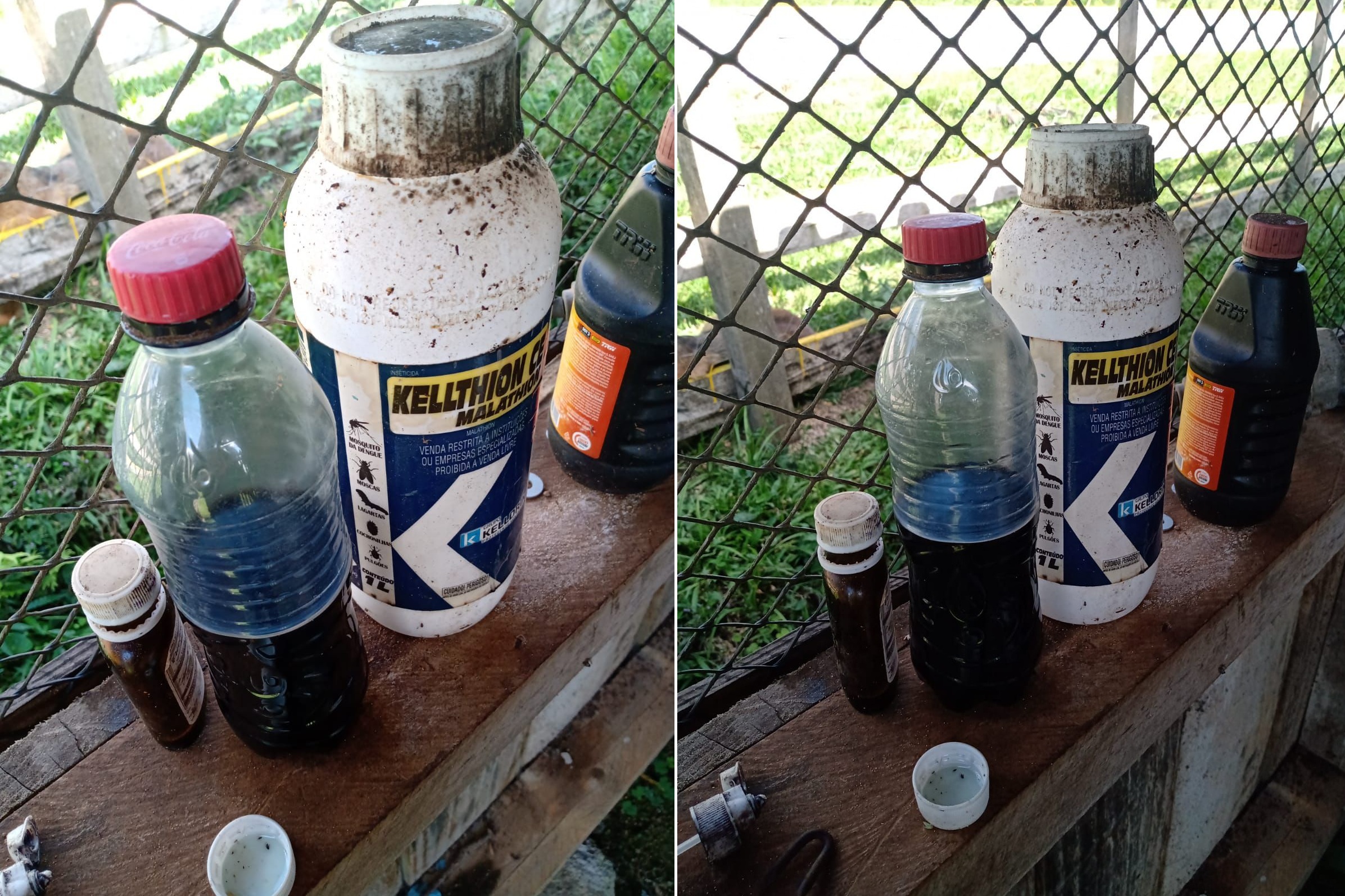Irmãos confundem veneno com suco de uva e morrem Irmãos confundem veneno com suco de uva e morrem