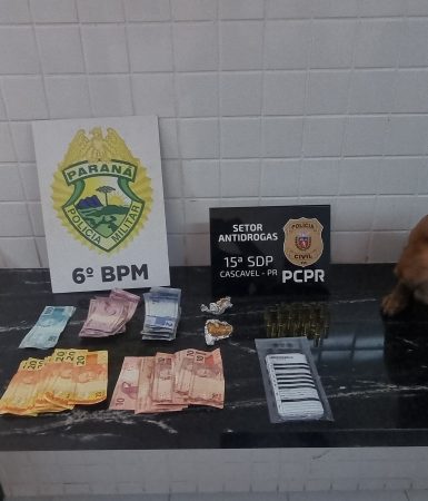 Imagem referente a Polícia Civil e Pelotão de Choque detém suspeito, apreendem drogas, dinheiro e munições