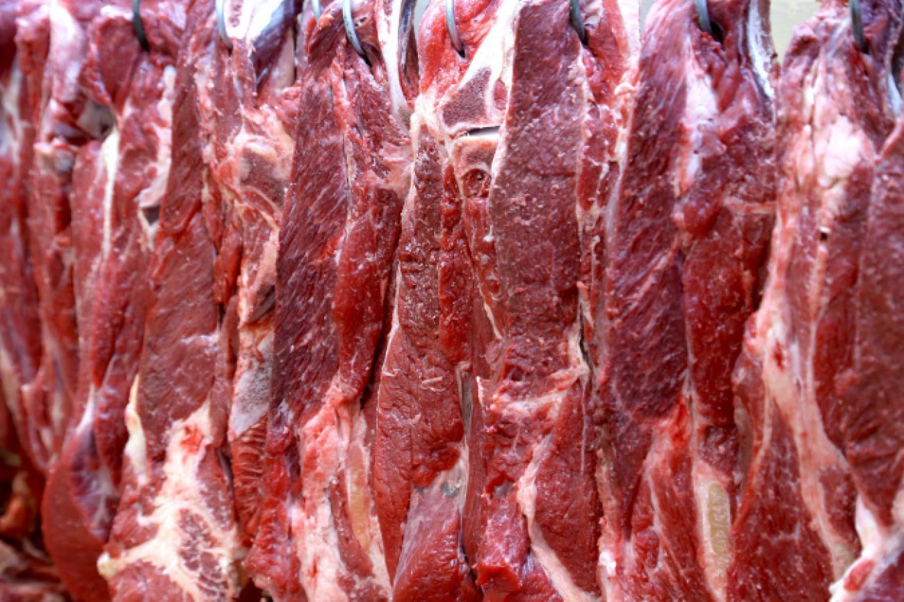 Com impulso em carne bovina, Paraná mantém liderança em exportação de proteínas animais