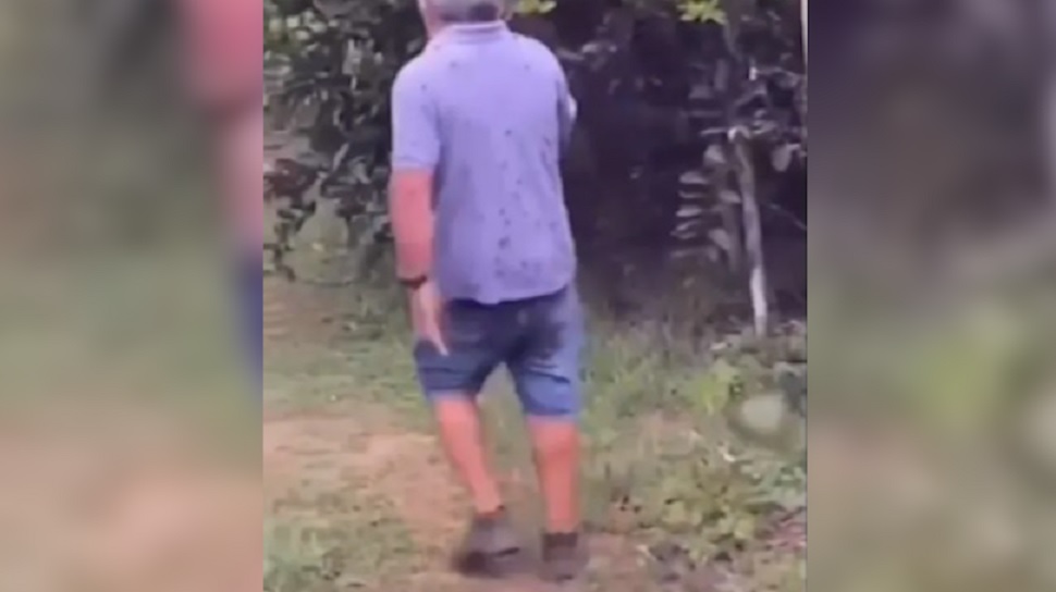 Ex-vereador morre após ser atacado por abelhas
