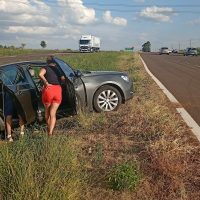 Imagem referente a Casal de Santa Catarina se envolve em acidente na BR-467 em Cascavel