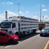 Imagem referente a Fox e caminhão colidem na BR-277, em Cascavel