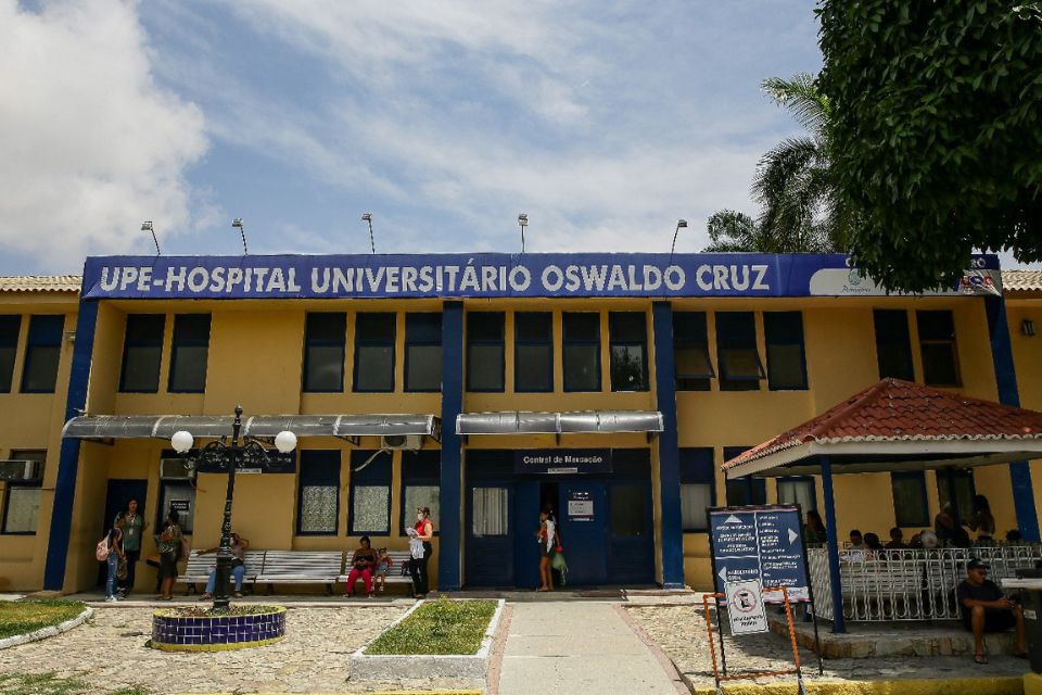 Mulher morre após contrair raiva de sagui