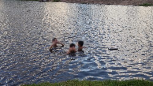 Imagem referente a Adolescentes ignoram proibição e se arriscam em lago do Ecopark Oeste