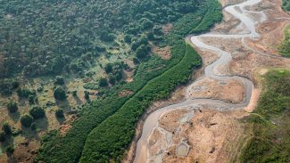 Turismo e crise climática: os caminhos sustentáveis para a Amazônia