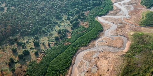 Imagem referente a Turismo e crise climática: os caminhos sustentáveis para a Amazônia