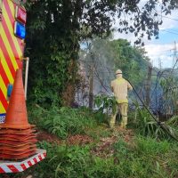 Imagem referente a Incêndio ambiental mobiliza Corpo de Bombeiros no Brasmadeira