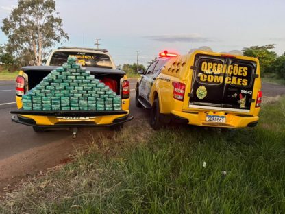 Imagem referente a Cruzeiro do Oeste: PMPR e Polícia Federal apreendem 104 quilos de pasta base de cocaína