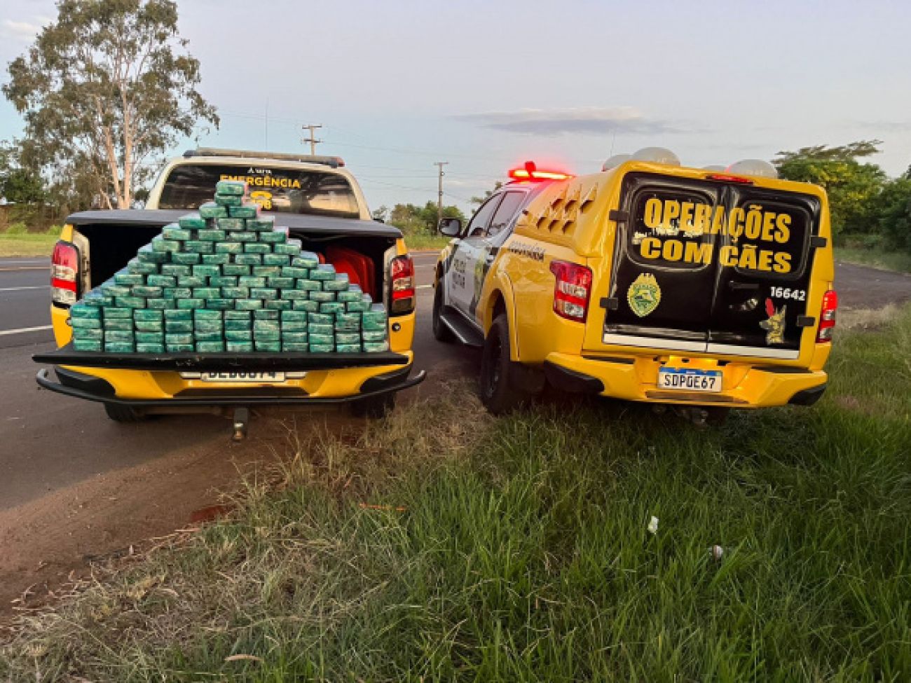 Cruzeiro do Oeste: PMPR e Polícia Federal apreendem 104 quilos de pasta base de cocaína