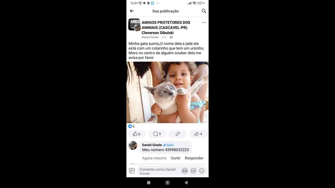 Gata Jade desapareceu no bairro Centro Gata Jade desapareceu no bairro Centro