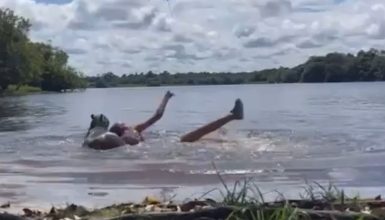 Imagem referente a Adolescente é atacada por capivara em lago