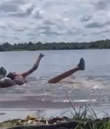 Imagem referente a Adolescente é atacada por capivara em lago