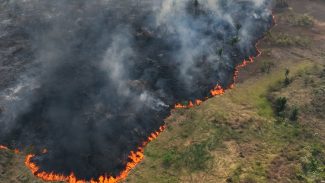 TV Brasil reexibe programa premiado sobre emergência climática