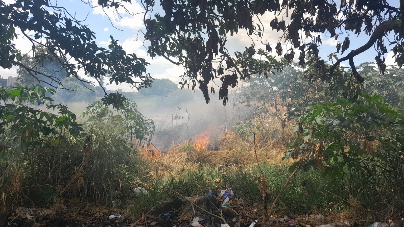 Incêndio em entulhos mobiliza Corpo de Bombeiros no Turisparque